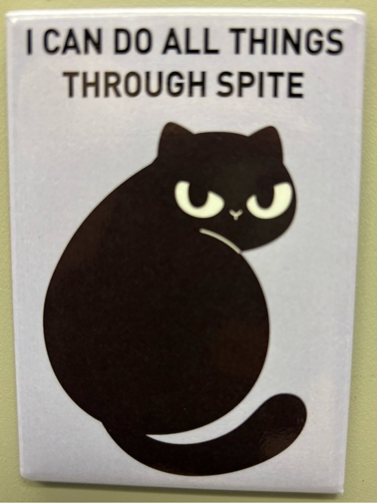 Other - Black Cat Magnet - 'I Can Do All Things Through Spite' 2” X 3”